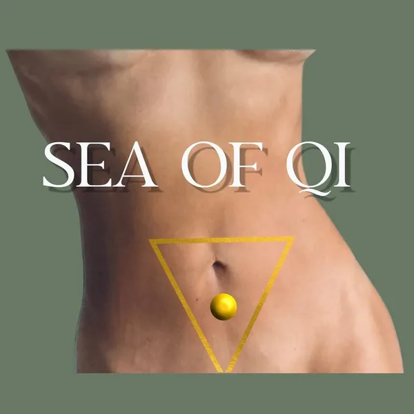 Our solar plexus is our abdominal brain. It represents the seat of activities th