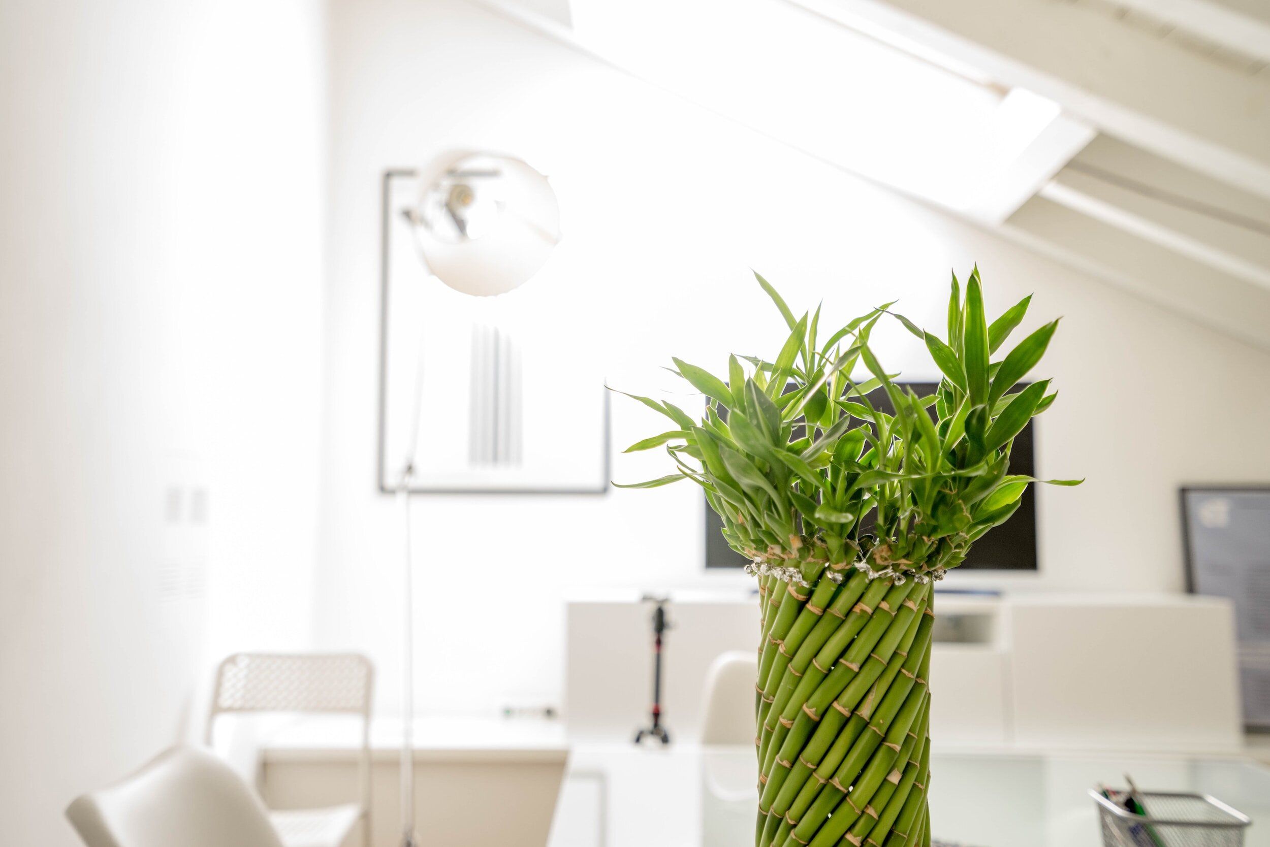 Dr Harriet Turnbull — Aesthetic Doctor and GP: BMBS (Hons), MRCGP