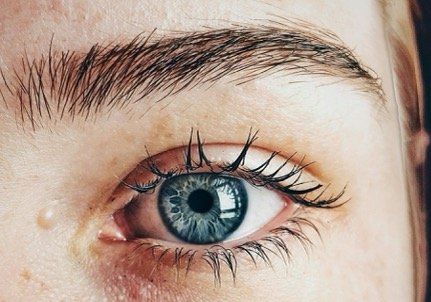Feminising chemical brow lift treatment area