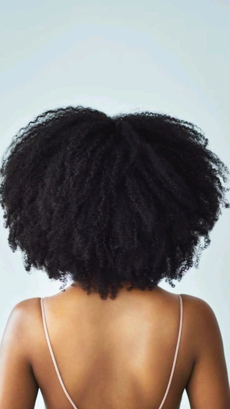 Back view of a head of natural hair