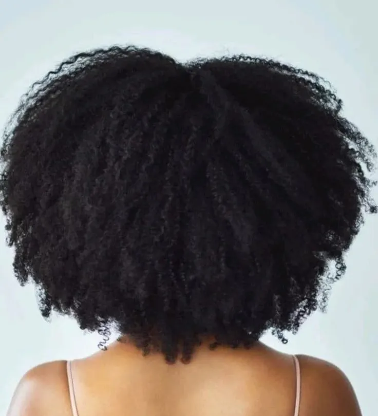 Back view of a head of natural hair