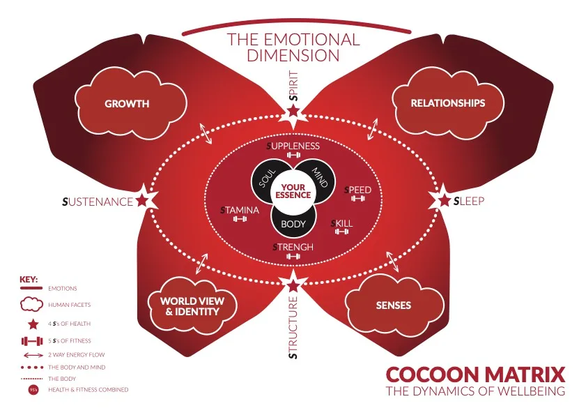 The Cocoon Matrix, the dynamics of wellbeing model: soul, mind, and body at the centre, ringed by the 5 S's of fitness and the 4 S's of health