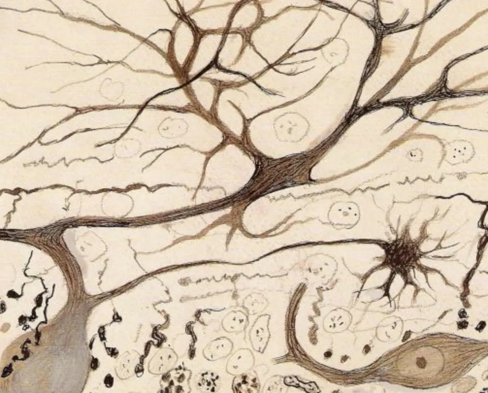 Two patients waiting in a calm clinic reception at a neuromodulation clinic